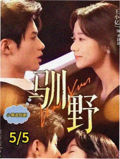 沉默的真相